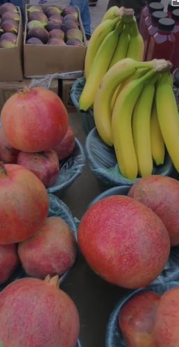 2025 TEMMUZ UMRECİLER44